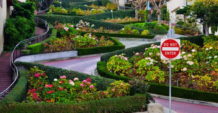 Lombard Street San Francisco